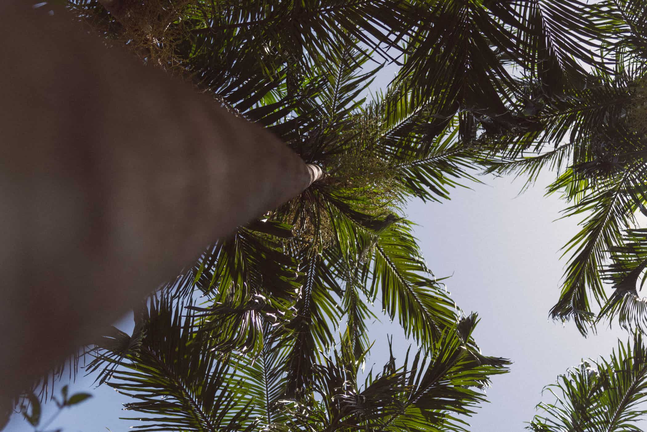 Litchfield National Park Northern Territory Australia