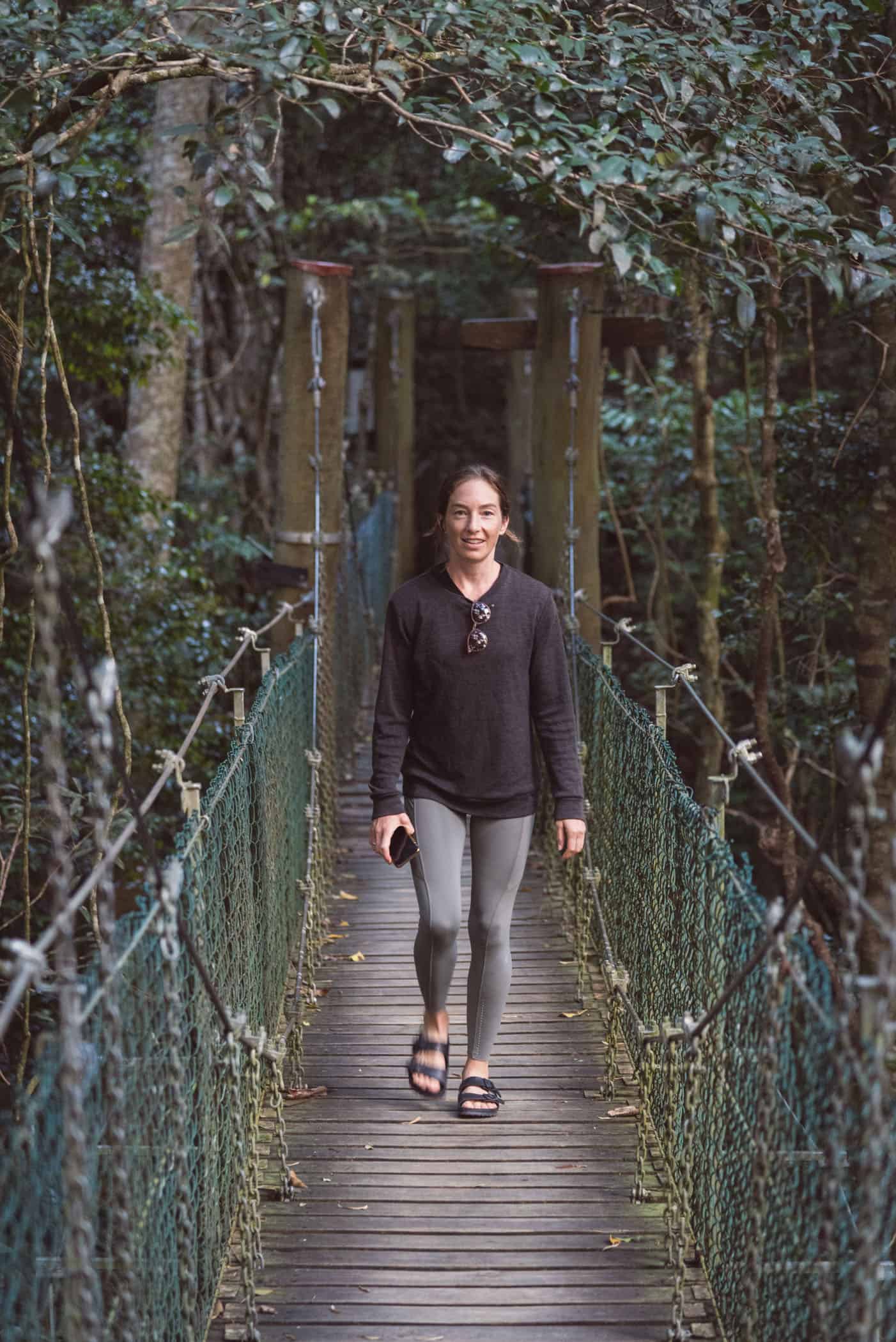 Tree Top Walk at O'Reilly's Lammington National Park Queensland