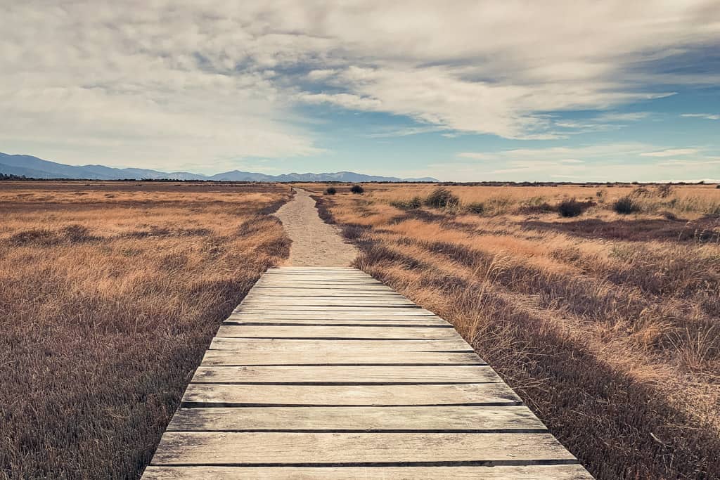 Boardwalk at Wairau Lagoon