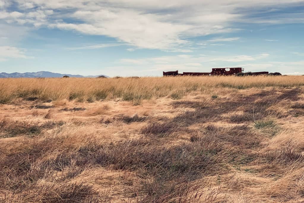 Shipwreck at Wairau Lagoon