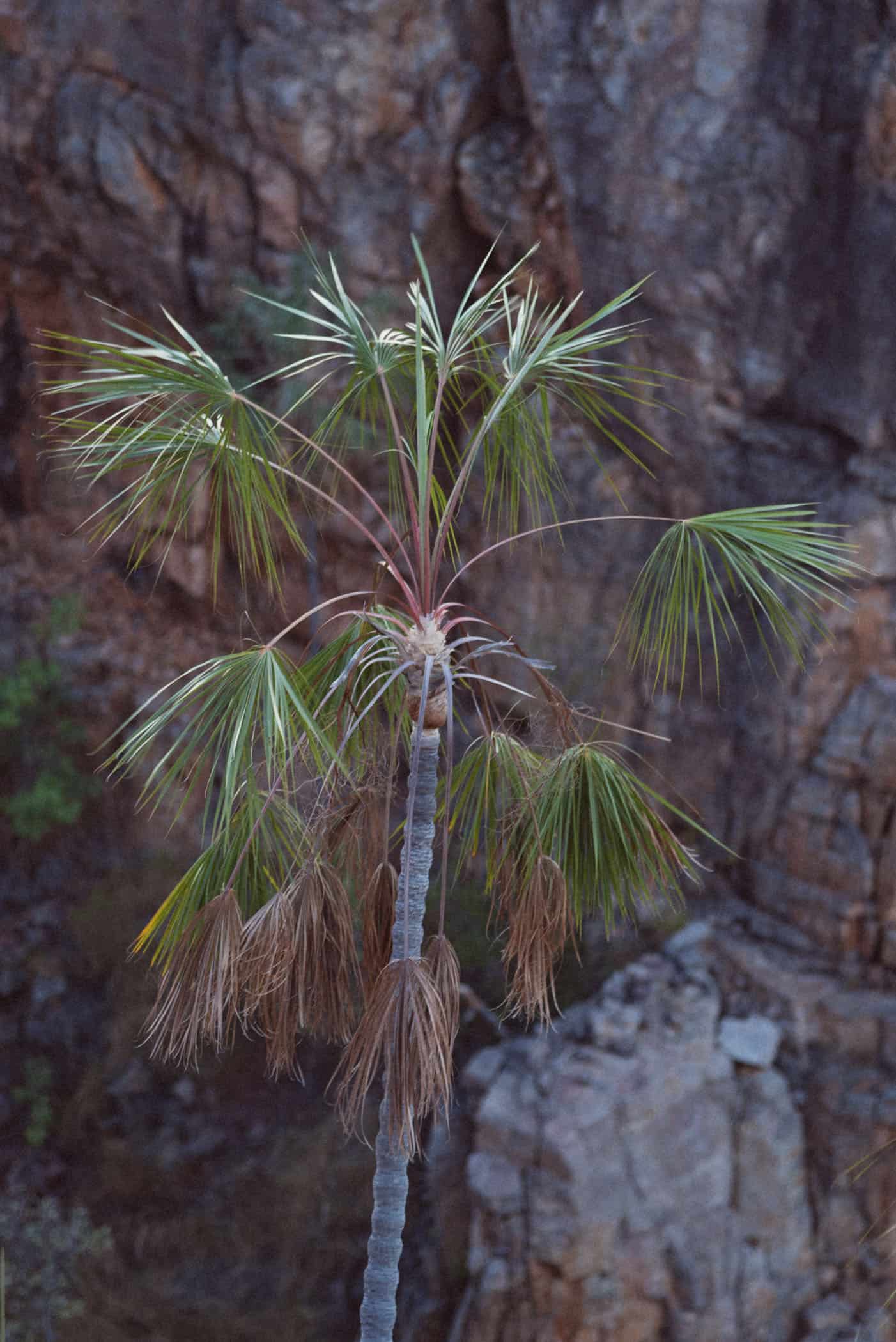 Katherine Gorge Nitmiluk National Park