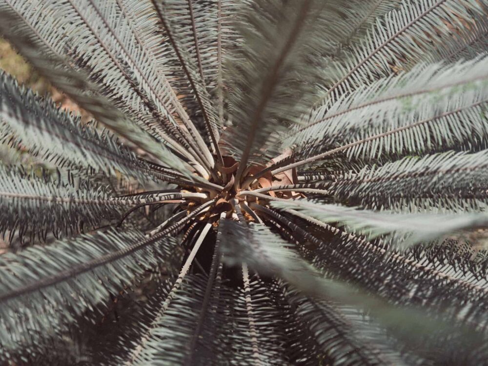 Litchfield National Park Northern Territory Australia