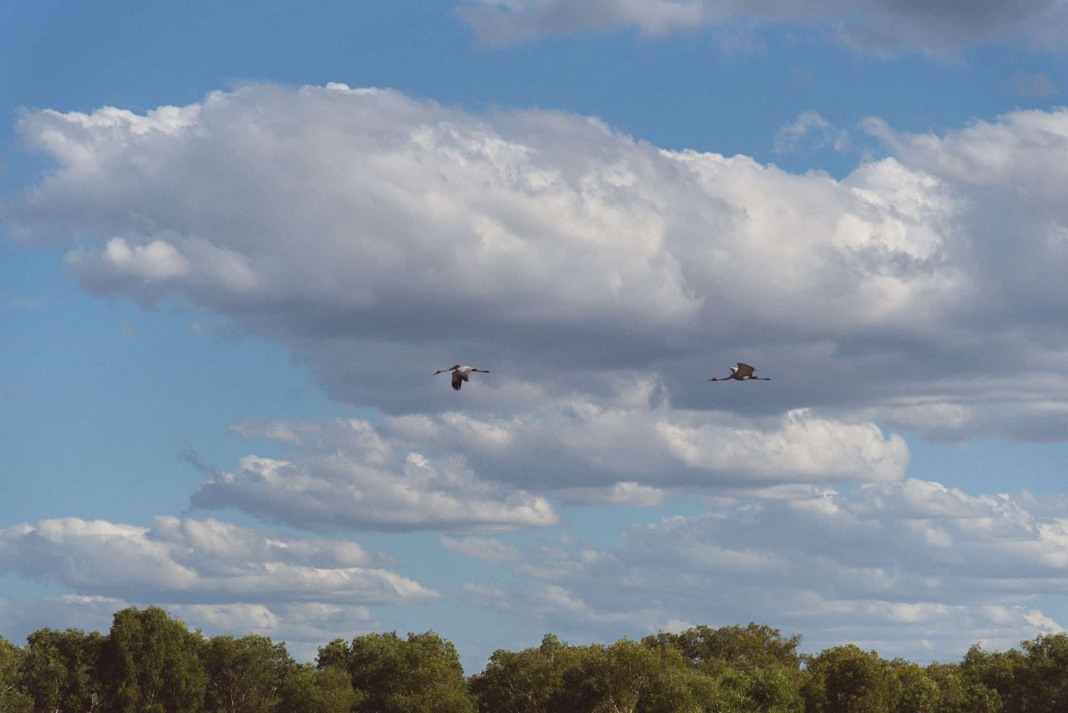 Yellow Water Sunset Cruise Kakadu National Park