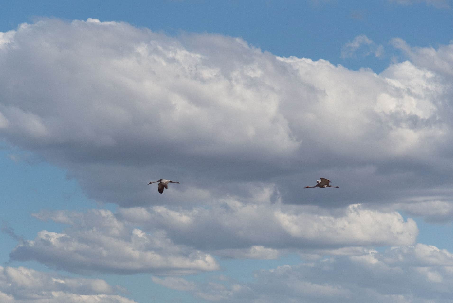 Yellow Water Sunset Cruise Kakadu National Park