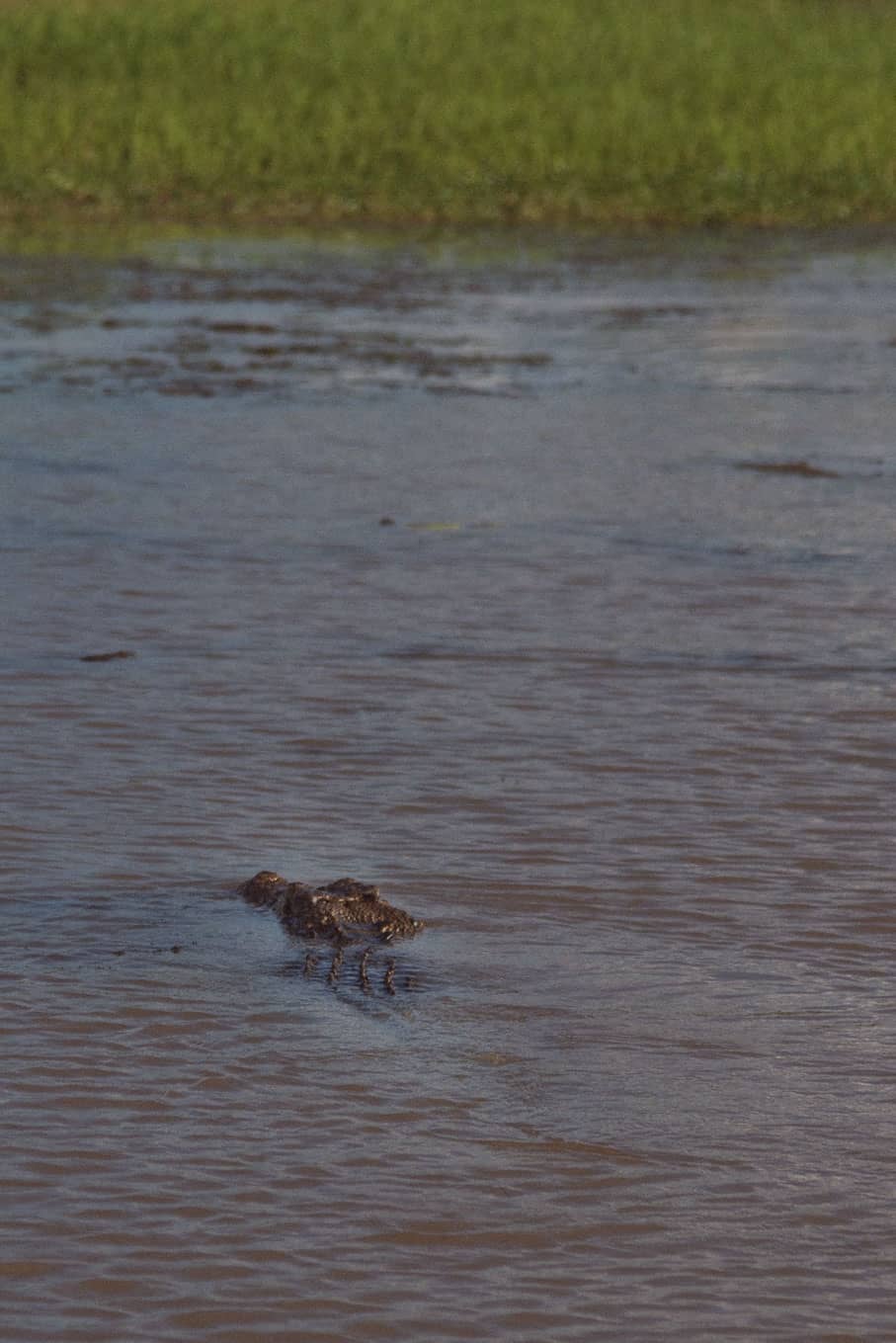 Yellow Water Sunset Cruise Kakadu National Park