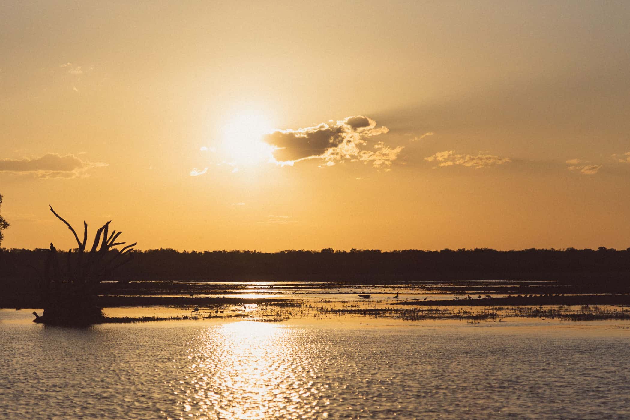 Yellow Water Sunset Cruise Kakadu National Park