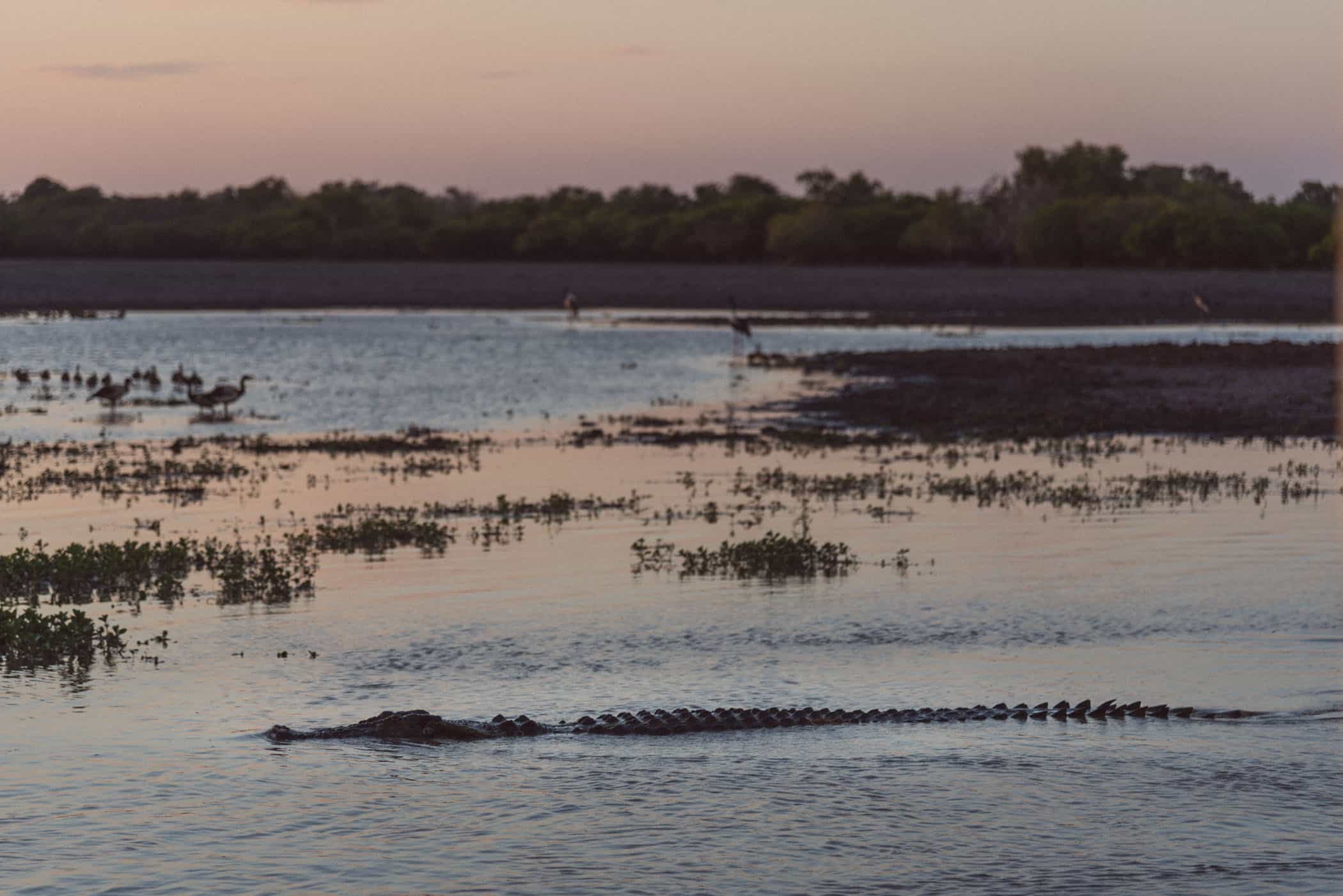 Yellow Water Sunset Cruise Kakadu National Park