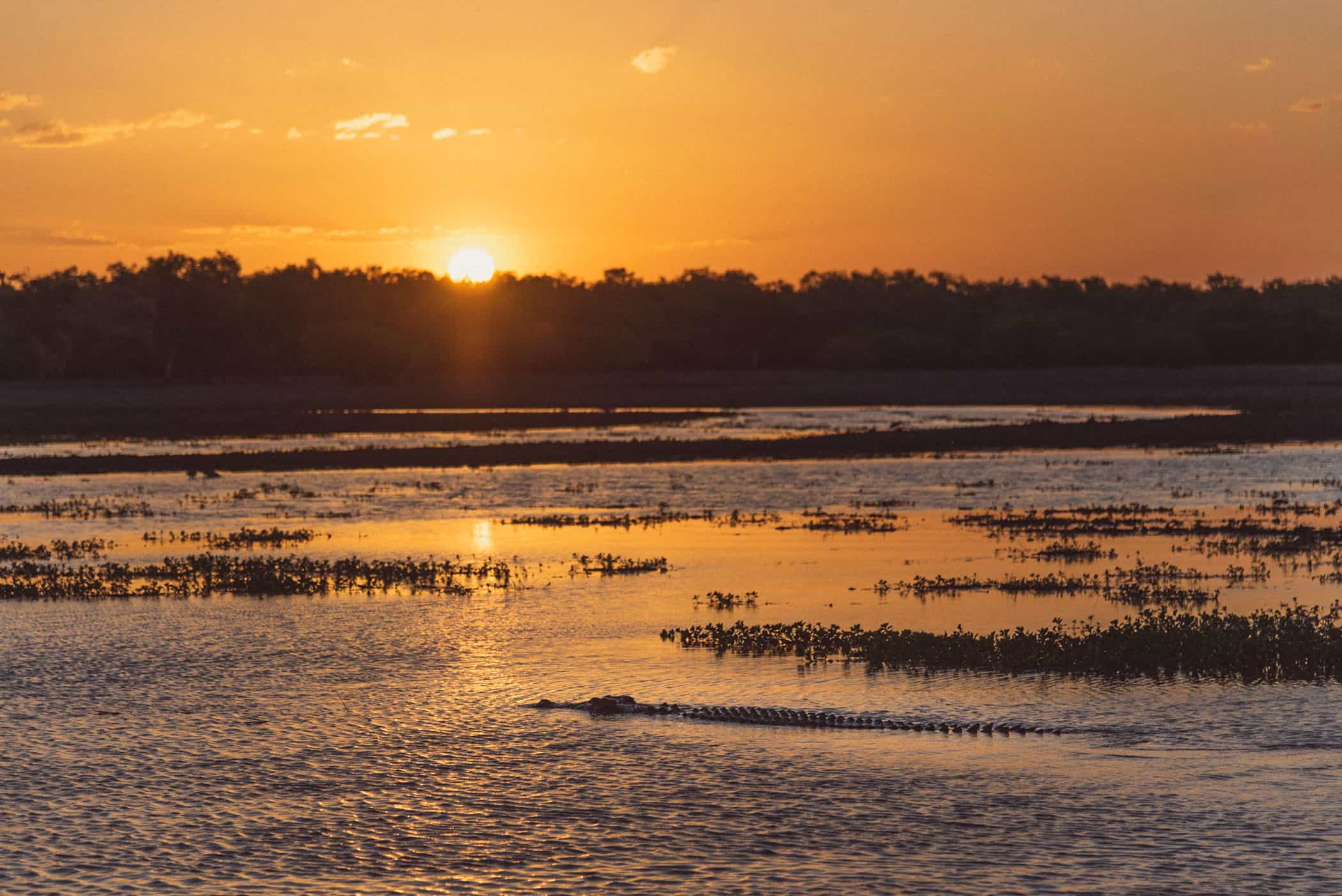 Yellow Water Sunset Cruise Kakadu National Park